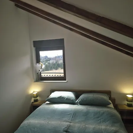 Anna Fuzine Daire Vrata